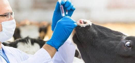 202110191642307d0950b7692c41d395456103775434b6 202110191642307d0950b7692c41d395456103775434b6