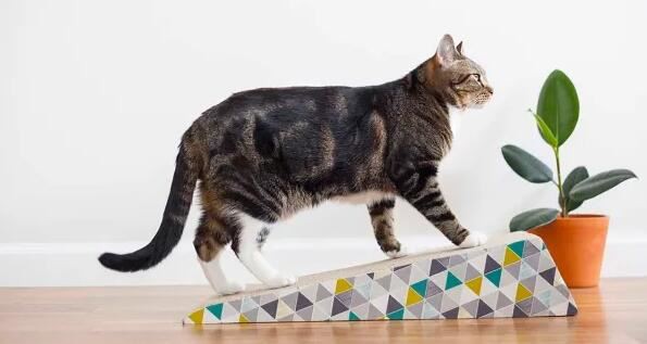 202111221630217e63a57deb814144abbe3d3db23f48d9 202111221630217e63a57deb814144abbe3d3db23f48d9