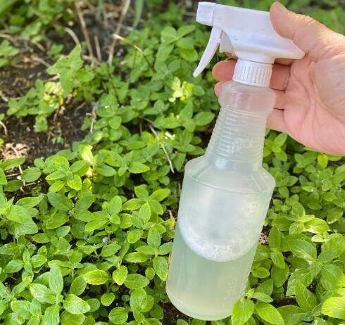 20211207160656c6e3591d997744f0960199584669874e 20211207160656c6e3591d997744f0960199584669874e