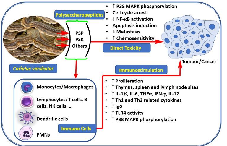20210119134259dd015194bcb1400cb2cf34cb8f08a1e1-3 20210119134259dd015194bcb1400cb2cf34cb8f08a1e1-3