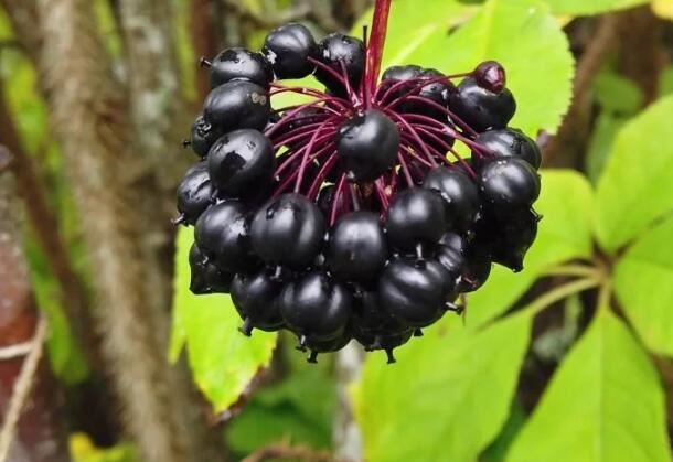 202104071209241b63427d287a4799bce62a3e892a8cae 202104071209241b63427d287a4799bce62a3e892a8cae