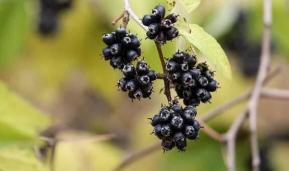 2021040712104744ac4468deb94cd786791d8c47b68f34 2021040712104744ac4468deb94cd786791d8c47b68f34