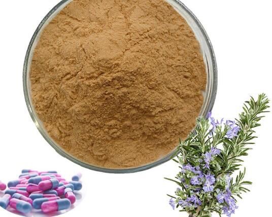 20210426101226f9b2b2a180a84072a2a0ed3b478ead7c-1 20210426101226f9b2b2a180a84072a2a0ed3b478ead7c-1