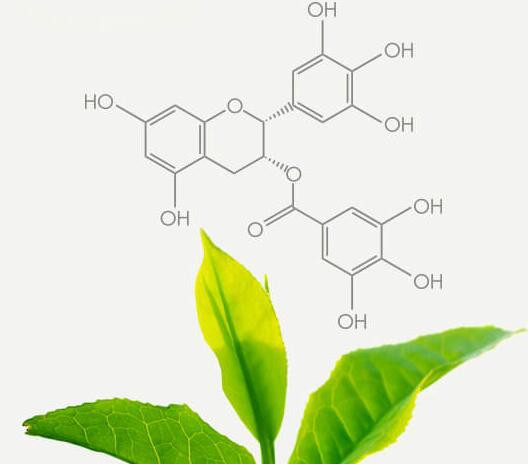 202105211157115d2ed7119a8344feb0450969cb6cccb2-2 202105211157115d2ed7119a8344feb0450969cb6cccb2-2