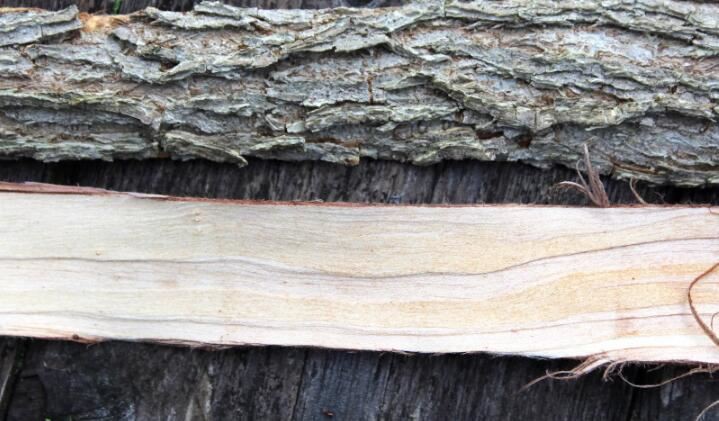 2021070613574766b952a36ce0408ca1a9fe7710d41c0e-4 2021070613574766b952a36ce0408ca1a9fe7710d41c0e-4