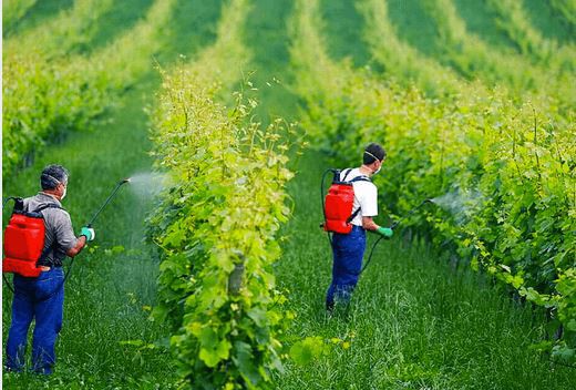 202107261650044f28372e70c944e19d472527e88819c4-14 202107261650044f28372e70c944e19d472527e88819c4-14