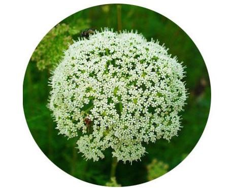 20210727135107671c5d104f91450da09944603516ec87 20210727135107671c5d104f91450da09944603516ec87