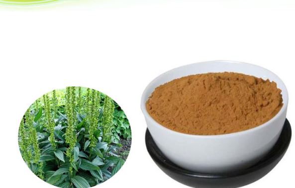 2021072714192898234a5308ff4a11acd628954e4290b0 2021072714192898234a5308ff4a11acd628954e4290b0