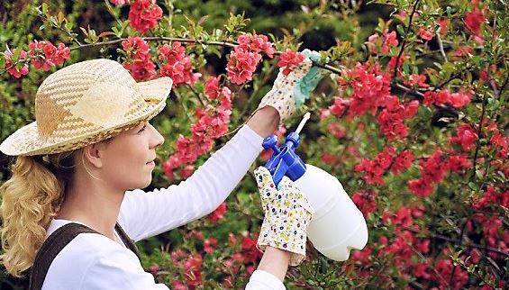 20210727151754696670be36c140aea18fa809b4c85a5d-5 20210727151754696670be36c140aea18fa809b4c85a5d-5