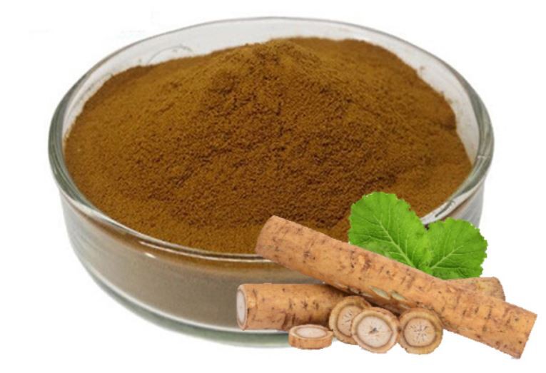 202108021628250aaeadced1c24af7aafab68033ff9654-1 202108021628250aaeadced1c24af7aafab68033ff9654-1