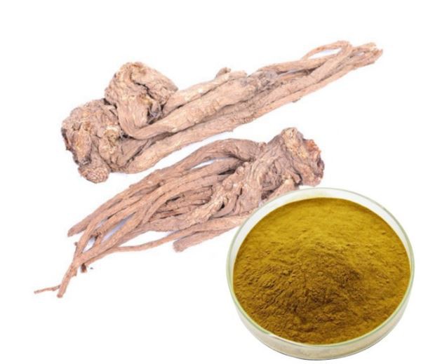 202108041642319945a34c926c4486a19e83c4ea773d50 202108041642319945a34c926c4486a19e83c4ea773d50