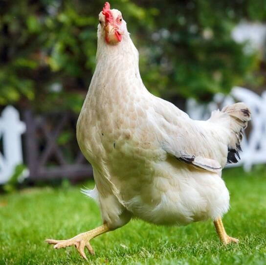 202108051701196bbc5e614fca46e0b3baf3ec3a9581ef-6 202108051701196bbc5e614fca46e0b3baf3ec3a9581ef-6