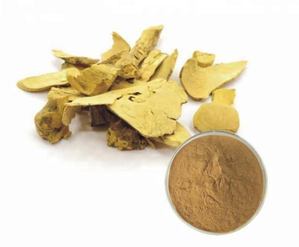 20210809170752022712943f4a45a298b2f7551f032b1f 20210809170752022712943f4a45a298b2f7551f032b1f