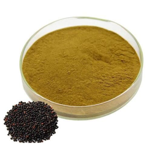 202108101554111bcbebd8fde54170b1b414624e241223 202108101554111bcbebd8fde54170b1b414624e241223