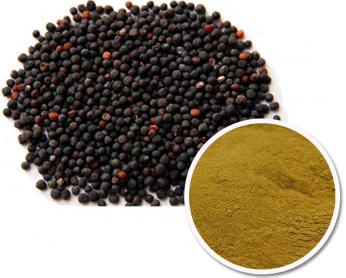 202108101555292b08e2e1ca5346f7b054d6b5451f3b46 202108101555292b08e2e1ca5346f7b054d6b5451f3b46