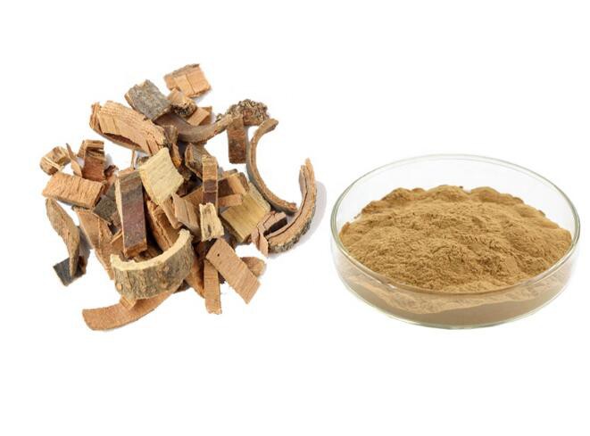 20210811115504e815520c949c410282ed169ed9b491fd 20210811115504e815520c949c410282ed169ed9b491fd