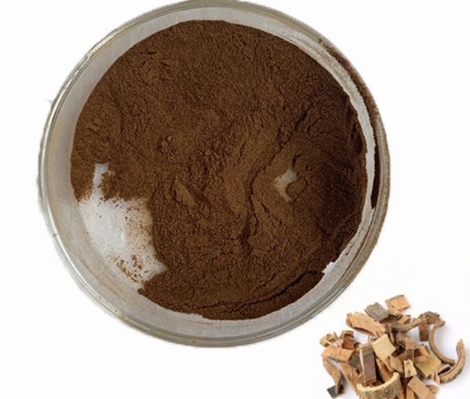 20210811115534a47b962bafb34ba7a7fdafe07364cfee 20210811115534a47b962bafb34ba7a7fdafe07364cfee