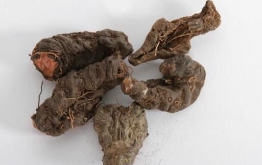 2021081113241510f170f5ef724bed9942506637ac8876 2021081113241510f170f5ef724bed9942506637ac8876