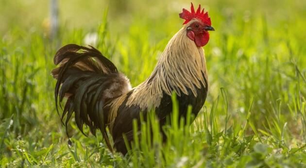 202108111351283992aa9e661e470caa4672b0c0399ab2-42 202108111351283992aa9e661e470caa4672b0c0399ab2-42