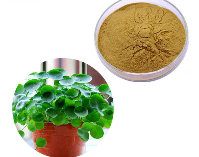 2021081114461249d2ff17e7524f7a88706a960a1787b5 2021081114461249d2ff17e7524f7a88706a960a1787b5