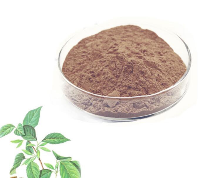 20210812141121180ed872b14442b6b8ac2ac0eae8f96b 20210812141121180ed872b14442b6b8ac2ac0eae8f96b