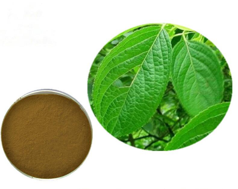 20210812141403698a95297be4447f98fec71c4cbe44e6 20210812141403698a95297be4447f98fec71c4cbe44e6