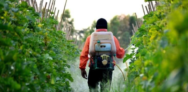 202109031540293d5eb603a4044f1f9b52f9333e4ec8bb-2 202109031540293d5eb603a4044f1f9b52f9333e4ec8bb-2