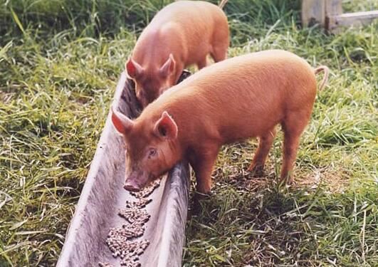 20210913144947364db883cf3c4b739a6855da140c2c30-2 20210913144947364db883cf3c4b739a6855da140c2c30-2