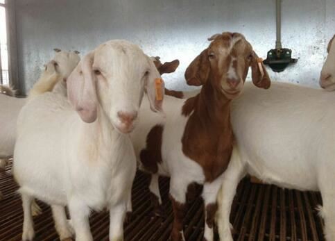 20210923151017e32d17db771b45478a49b0fe88a11a90-1 20210923151017e32d17db771b45478a49b0fe88a11a90-1