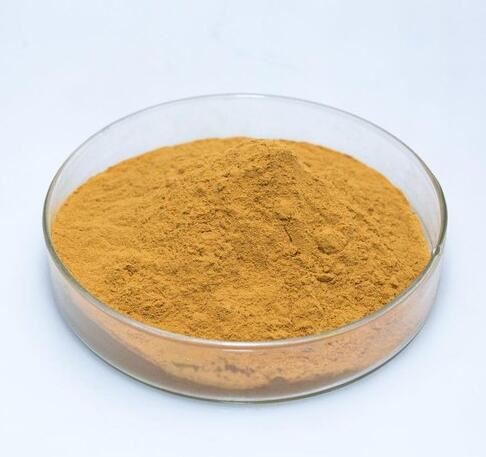 20210924154811225a1f16bae745e1a35691aae6bbca42-3 20210924154811225a1f16bae745e1a35691aae6bbca42-3