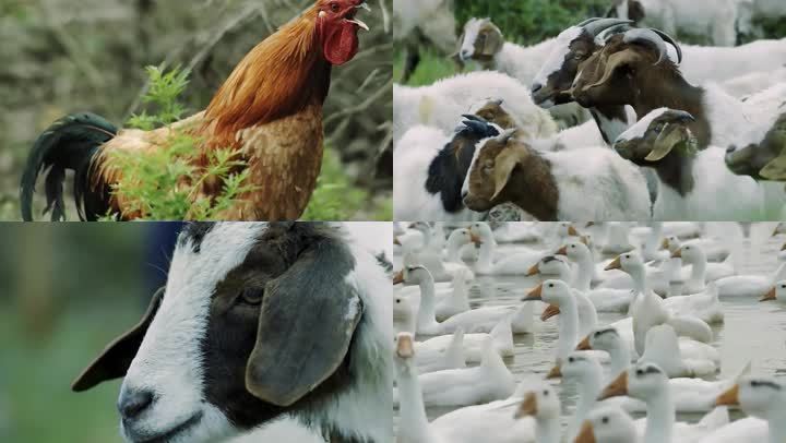 20210927142032c6fb04ad4b53474daba3ac62f07d9509-3 20210927142032c6fb04ad4b53474daba3ac62f07d9509-3