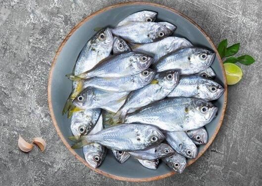 20211123155050192d917375ba4b9c9007d937a9e286f7 20211123155050192d917375ba4b9c9007d937a9e286f7