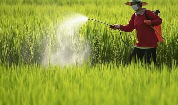 202111261502561bcc3daef63a42f5adc8818fed9ad361-6 202111261502561bcc3daef63a42f5adc8818fed9ad361-6