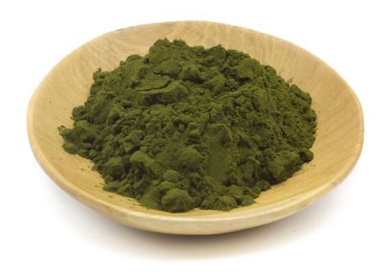 202112021547128a0f01615d634d249013ea9842130877 202112021547128a0f01615d634d249013ea9842130877