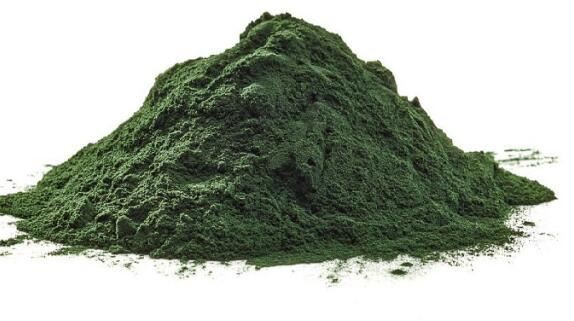 2021120215472970ff6c9583ed49e6875b8a48fd595d0b 2021120215472970ff6c9583ed49e6875b8a48fd595d0b