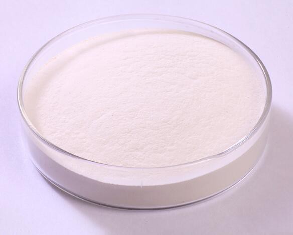 202112211621465e33b1d56efe4d3c9f933e7ff2ab79c1 202112211621465e33b1d56efe4d3c9f933e7ff2ab79c1