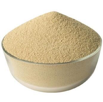 202112211624192a7b029d09da4a8b9f97ff143c135a85 202112211624192a7b029d09da4a8b9f97ff143c135a85