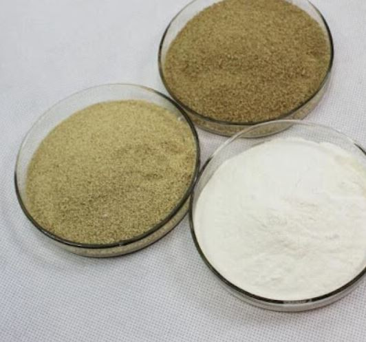 202112220919348993dc49fbf44d508404822a403c7909-4 202112220919348993dc49fbf44d508404822a403c7909-4