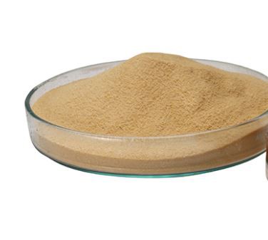 20211222093127c741d6e8d0ad4a748423bdb1fe8e2117 20211222093127c741d6e8d0ad4a748423bdb1fe8e2117