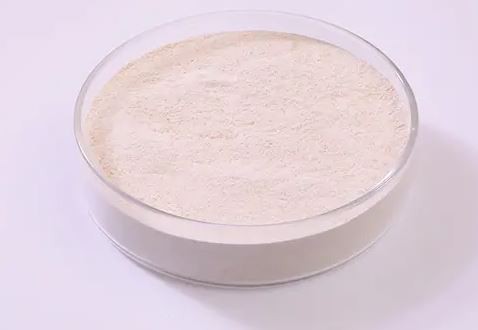 20211224092324d67a6199b72f4a6a81ec11a1dee218c7 20211224092324d67a6199b72f4a6a81ec11a1dee218c7