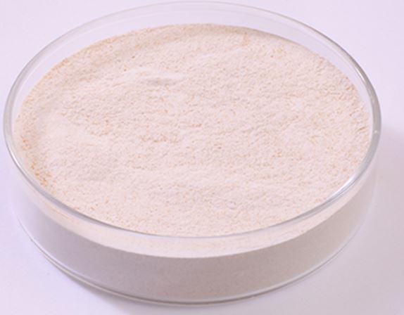 202112240923493673d950ccc242c899f5cec31dc70a0b-1 202112240923493673d950ccc242c899f5cec31dc70a0b-1