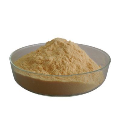 202112280956437f163f3dda3f458c94847f99d93d8d6c 202112280956437f163f3dda3f458c94847f99d93d8d6c