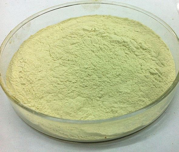 2021123110392061518de888e64e11a16e2d6f3e59d41a-1 2021123110392061518de888e64e11a16e2d6f3e59d41a-1