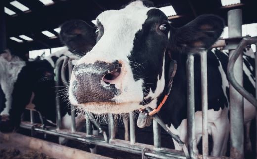 202201051031193747e15fcee548ed93a0be246baf44da-2 202201051031193747e15fcee548ed93a0be246baf44da-2