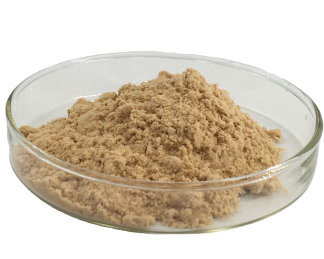 20220111095015db00f83aaa844754b651f6efe6bd879e 20220111095015db00f83aaa844754b651f6efe6bd879e