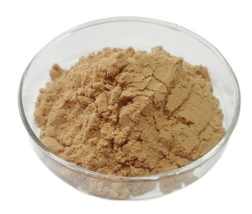 20220111100905c1a3e8110b6146e1a7457bdf4495a4b3 20220111100905c1a3e8110b6146e1a7457bdf4495a4b3