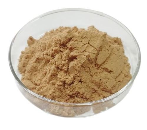 20220112091105f847fd344c5d4880aa421ed1371bbcce 20220112091105f847fd344c5d4880aa421ed1371bbcce