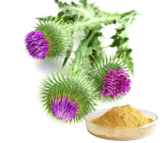 20220119123504860af6f6e9334c80a797a9538b82e0a2-2 20220119123504860af6f6e9334c80a797a9538b82e0a2-2