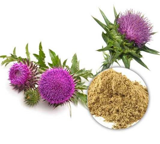 20220121105413e0d22208eb2c4f41b0a11cfef1dd4807 20220121105413e0d22208eb2c4f41b0a11cfef1dd4807