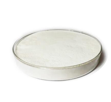 20220129114524e0d3e497d7944c25b20556a483c3a6d1 20220129114524e0d3e497d7944c25b20556a483c3a6d1